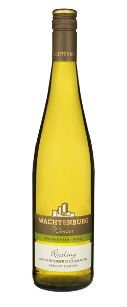 Riesling Kabinett trocken 2017 Wachenheimer Fuchsmantel Wachtenburg Winzer